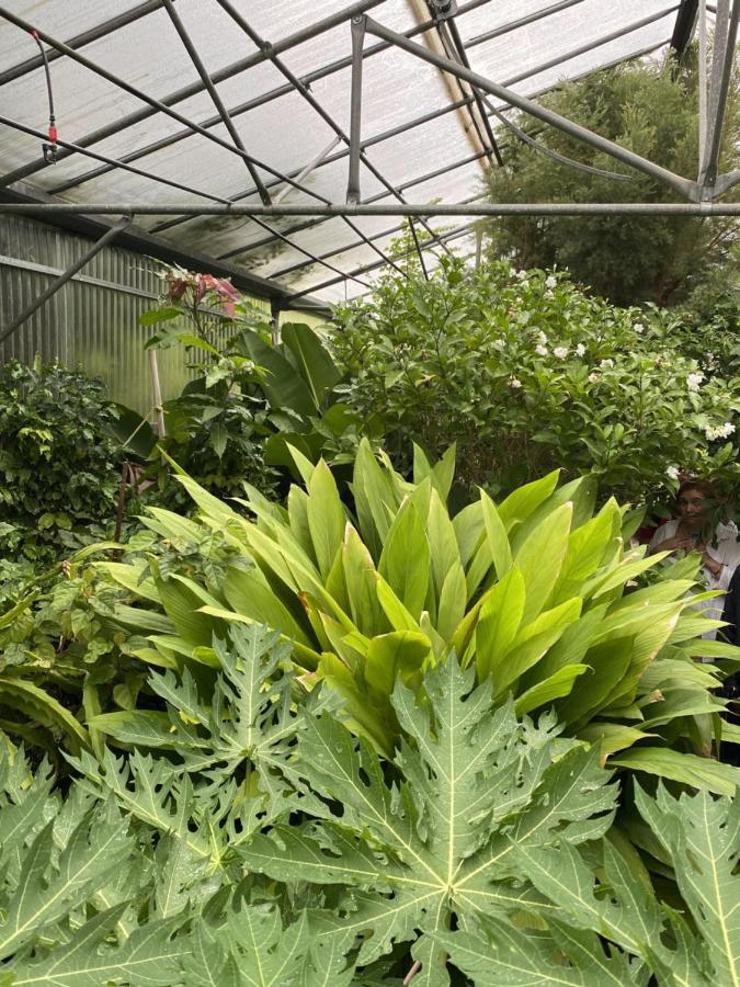 Green Hotel - Maravel Botanical Garden Spílion Екстериор снимка